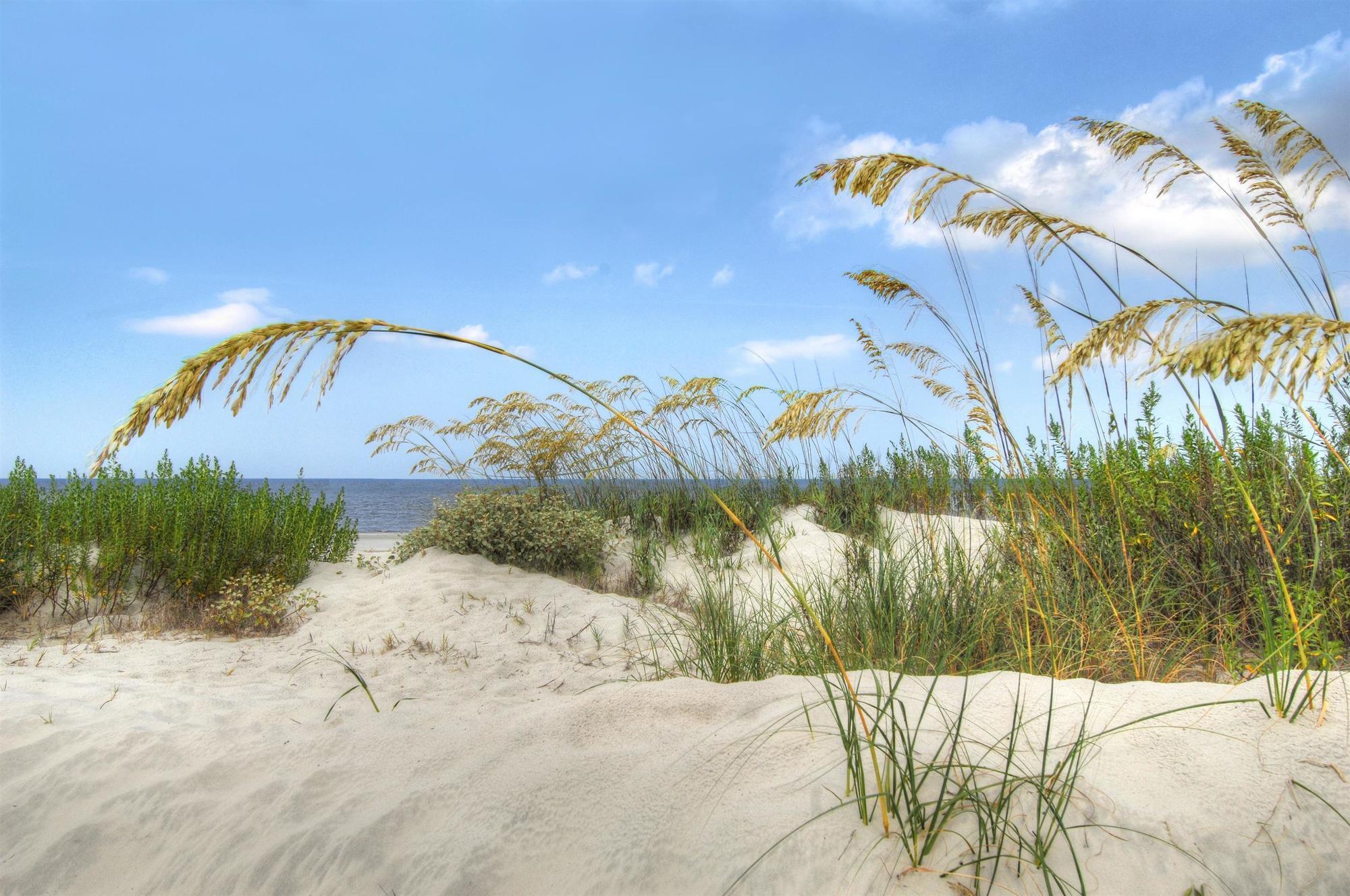 The Westin Jekyll Island Beach Resort Экстерьер фото